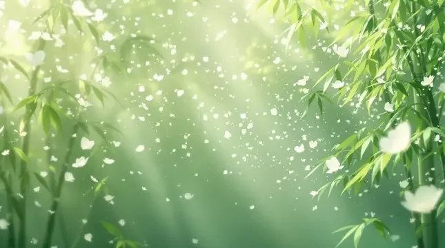竹海晨雾 - 飘花电影网竹影清风影像